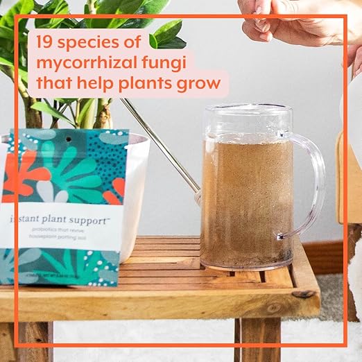 Instant Plant Care Bundle | Instant Plant Support + Instant Plant Food | Grow and Support Happy Houseplants and Indoor Planting Soil