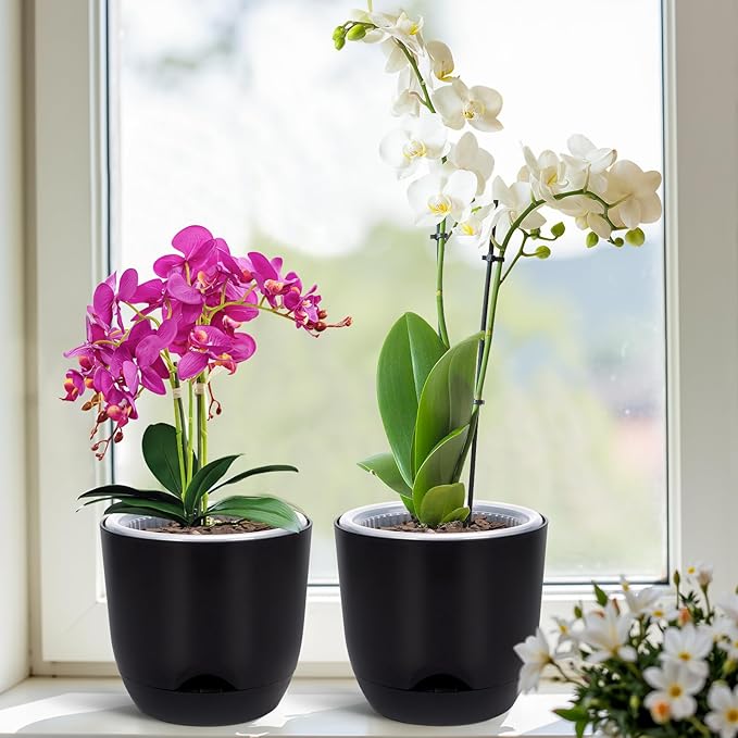 QCQHDU 2 Pack 5.7 Inch Orchid Pots with Holes for Repotting, Double-Layer and Self Watering Orchid Pot with Good Air Circulation