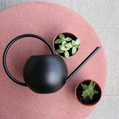 Long Spout Watering Can, 400Ml Stainless Steel Metal Watering Pot for Outdoor and Indoor Plants Decorative Black Colored Watering Can for Gardening Family Gardening