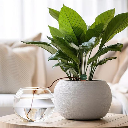 Blumat Classic Self-Watering Stakes - Automatic Drip Irrigation System for Indoor Plant Watering & Outdoor - Water Drip Solution for Potted Plants - Slow Release Stakes, 9 Pack, wo Adapter