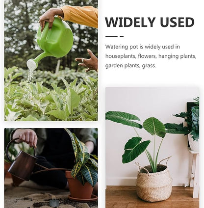 HANABASS 1200ml Long Spout Watering Can Indoor Plant Watering Can Metal Small for Indoor Plants (Silver)