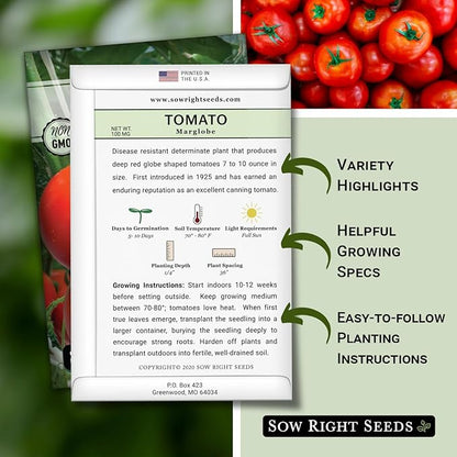 Sow Right Seeds - Marglobe Tomato Seeds for Planting - Non-GMO Heirloom Packet with Instructions to Plant and Grow a Home Vegetable Garden - Classic Medium Red Variety - Determinate Hydroponic (2)
