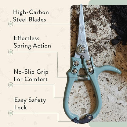 Modern Sprout Pruning Shears - Herb Snipping Scissors- Lightweight Gardening Tools W/Easy Lock - Flower Cutter Garden Shears - Carbon Steel Blade + Reusable Holster (Sage, 1-Pack)