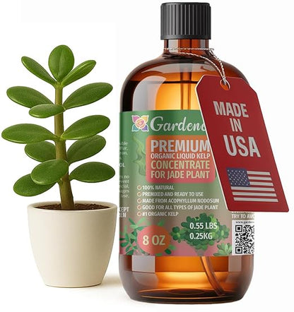 GARDENERA Premium Organic Seaweed & Kelp Superfood for Jade Plants Plants - 8 oz - Liquid Kelp Fertilizer Concentrate (Makes 45 Gallons)