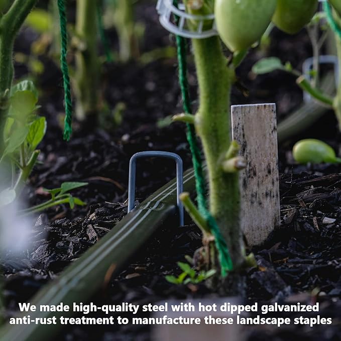 BDS-HOME 100sets Heavy Duty Garden Landscape Staples and Fixing Gasket with 1pc Pick Hook, 11 Gauge U Shaped Lawn Staples for Irrigation Hoses, Yard Weed Barrier, Fences and Tents, Decorations Fixed