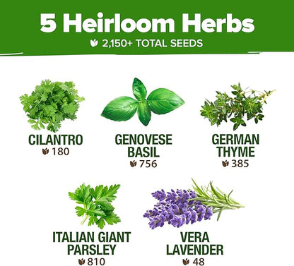 HOME GROWN 5 Herb Seeds for Planting 2,150+ Non-GMO Heirloom Seeds | Extra Large Variety Pack Herb Kit – Indoor Outdoor & Hydroponic | Culinary Seed Set | Grow Your Own Herbs | Gift for Beginners