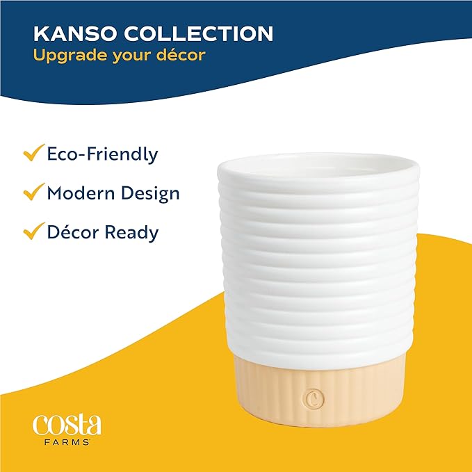 Costa Farms Ficus Tineke Live Plant in Decorative Pot, Indoor Houseplant, Perfect for Home, Room, or Office Decor, Great House Warming or Birthday Gift, 12-18 Inches Tall