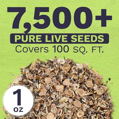 Wildflower Seeds Annual Quick Blooming Mix - Large 1 Ounce Packet Over 7,500 Open Pollinated Seeds