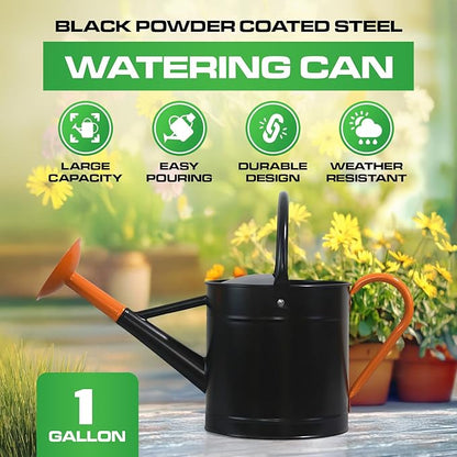 Plexon 1 Gallon Metal Watering Can Outdoor, Flower Plant Gardening Garden Large Watering Can Pot Pitcher, Steel Orange Handles and Removable Spray Spout, Black