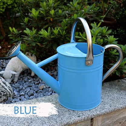 Metal Watering Can, One Gallon Watering Cans Stainless Steel for Outdoor Indoor Garden Plants Watering (Stainless Steel Handle Blue)