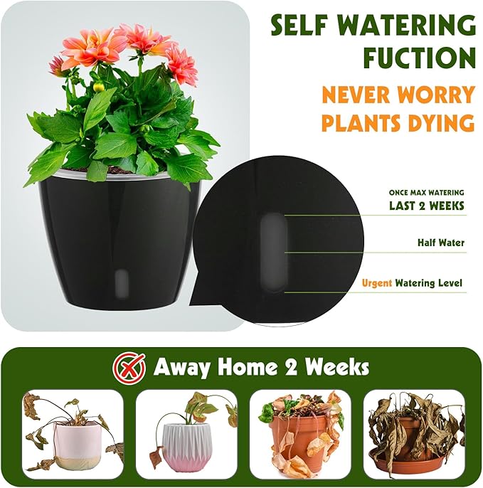 Self Watering Pots for Indoor Plants, 12-Pack 5'' Self Watering Planter with Drainage Holes, Small African Violet Pots with Water Level Indicator, Clear Wick Pot, Black