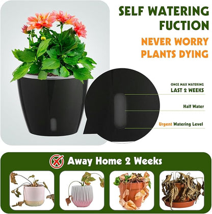 Self Watering Pots for Indoor Plants, 6-Pack 5'' Self Watering Planter with Drainage Holes, Small African Violet Pots with Water Indicator, Clear Wick Orchid Pot, Black