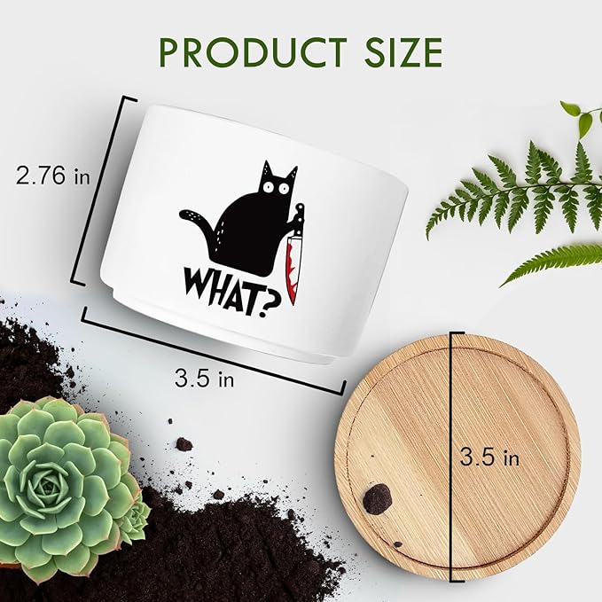 Funny Black Cat Plant Pot for Succulent, Cactus Flower Planter for Indoor Plants, Unique Succulents Pots with Drainage, Cats Owner Gifts, Home Desk Decor Planter Gift for Cat Lover (No Plants)