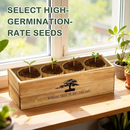 Bonsai Tree Kit, Complete Bonzai Tree Starter Kits with Tools, Unique Christmas Birthday DIY Gardening Gifts for Women Mom Men Grandkids, Crafts Hobby Kits, Grow Bonsai Tree Live Indoor