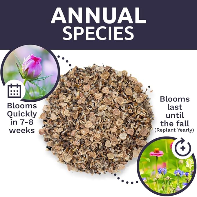 Wildflower Seeds Annual Quick Blooming Mix - Large 1 Ounce Packet Over 7,500 Open Pollinated Seeds