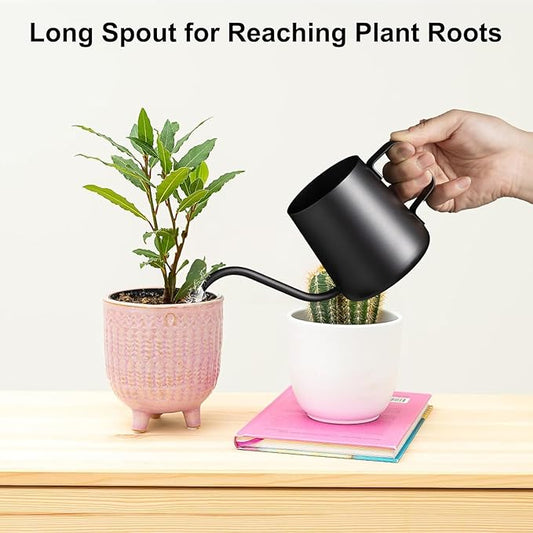 12 oz / 350 ml Watering Can Indoor Plants, Stainless Steel Plant Watering Can with Long Spout (Black) (12oz)