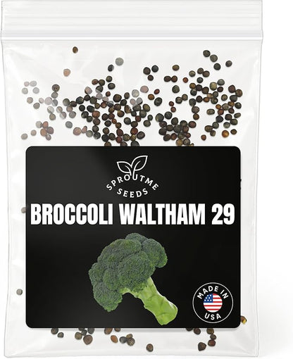Fall & Winter Broccoli Seeds for Indoor & Outdoor Planting – 300+ Non-GMO Heirloom USA-Grown Tender Heads & Florets, High Germination (Brassica oleracea VAR. Italica)