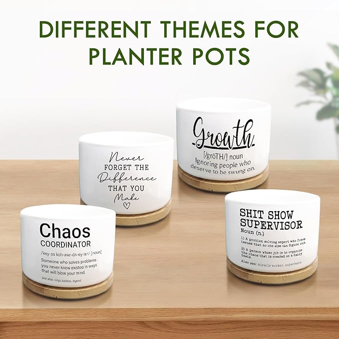 Coworker Thank You Gifts, Funny Succulent Plant Pot, Flower Cactus Planter Gifts, Farewell Going Away Appreciation Inspirational Gifts for Women Men Boss Lady Manager Coworkers (No Plants)