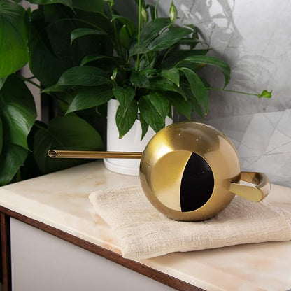 IMEEA Watering Can for Indoor Plants 45oz/1.3L Stainless Steel Small Indoor Watering Can House Plants