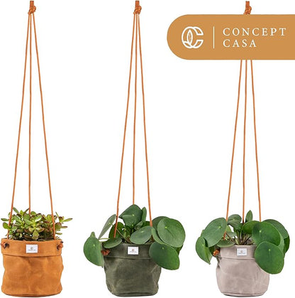 Large Waxed Canvas Handmade Hanging Planter for Indoor/Outdoor Plants, Hanging Basket Plant Holder Stone Gray with Hook