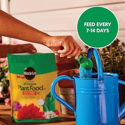 Miracle-Gro Water Soluble All Purpose Plant Food, Feed Flowers, Vegetables, Roses, Shrubs, and Houseplants, 5.5 lb.