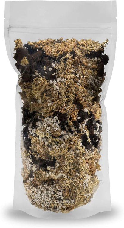 GARDENERA Premium Preserved Reindeer Moss for Potted Plants, Terrariums, Fairy Gardens, Arts and Crafts or Floral Decor Design in Natural (4 Quart Bag)