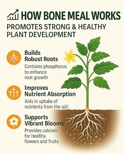 𝐁𝐄𝐒𝐓𝐒𝐄𝐋𝐋𝐄𝐑 Organic Bone Meal Fertilizer by Gardenera (4-12-0 NPK) All-Natural Plant Food Source of Nitrogen and Phosphorus for Bulbs, Gardens, Potted Plants, Trees, and Shrubs [8 OZ]