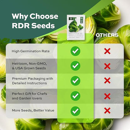 250 Broccoli Seeds for Planting Waltham 29 - Heirloom Non-GMO USA Grown - Broccoli Sprouts Microgreens Seeds