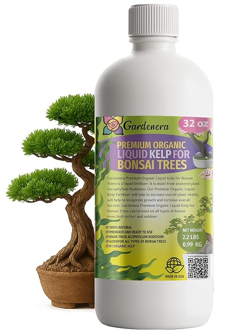 GARDENERA Premium Organic Seaweed & Kelp Superfood for Bonsai Trees Plants - 32 oz - Liquid Kelp Fertilizer Concentrate (Makes 180 Gallons)