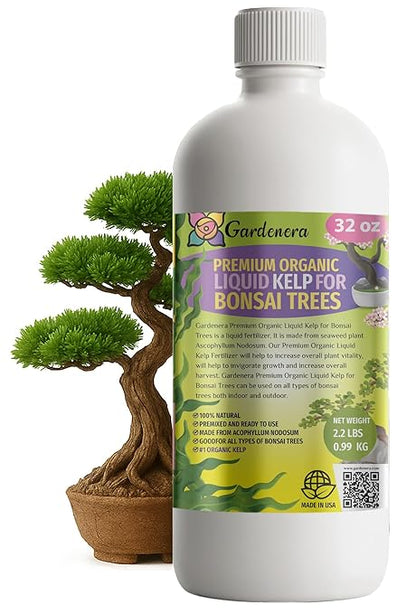 GARDENERA Premium Organic Seaweed & Kelp Superfood for Bonsai Trees Plants - 32 oz - Liquid Kelp Fertilizer Concentrate (Makes 180 Gallons)