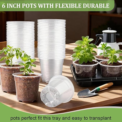 30 Pack 6 Inch Clear Nursery Pots and 5 Pack 6 Cell Round Plant Pot Trays, Sturdy Seeds Starting Germination Shuttle Carrying Trays, Planter Nursery Propagation 5 Sets