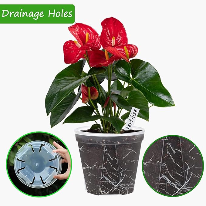 40Pack 4/5/6/7 inch Plastic Clear Nursery Pots with Saucer, 4 Sizes Garden Pots Plant Pots with Drainage Holes for Flower,Herb,Succulent,Plants, 100 pcs Plant Labels,5 Set for Indoor Outdoor