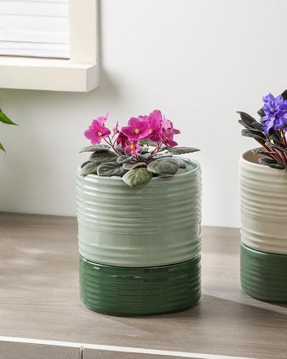 Self Watering Pots for Indoor Plants, 6 Inch Ceramic Self Watering Plant Pot, Planter Pot with Wick Rope and Drainage Hole for African Violet Succulent Herbs (Green Light)