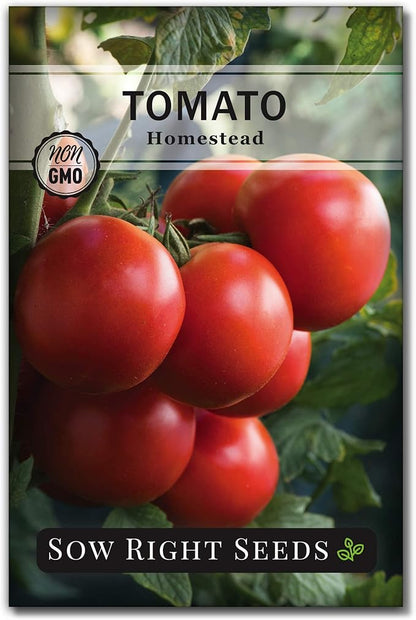 Sow Right Seeds - Homestead Tomato Seeds for Planting - Non-GMO Heirloom Packet with Instructions to Plant a Home Vegetable Garden - Semi Determinate Classic Red Variety - Medium Sized(1)