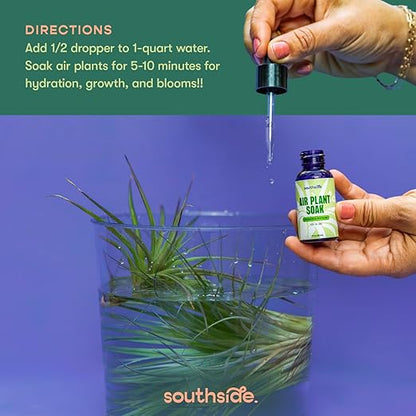 Air Plant Fertilizing Concentrated Soak by Southside Plants - Fertilizer Mist for Houseplants, Weekly Plant Food - Gentle Mist Formula for Miracle Feed & Grow - 1 oz