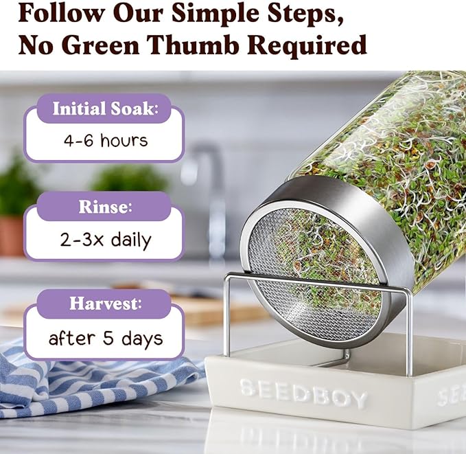 Seedboy Organic Non-GMO Alfalfa Seeds for Sprouting - Microgreens Sprouting Seeds - 8 oz Bag Makes 8 Quarts / 24 Servings (Alfalfa)