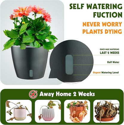 Self Watering Pots for Indoor Plants, 6-Pack 5'' Self Watering Planter with Drainage Holes, Small African Violet Pots with Water Indicator, Clear Wick Orchid Pot, Grey Gold
