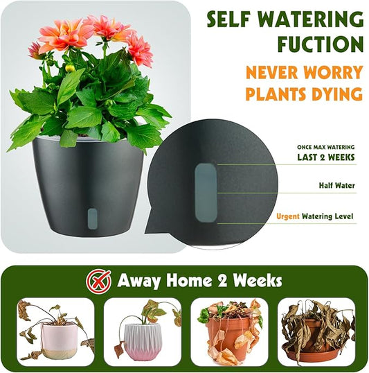 Self Watering Pots for Indoor Plants, 6-Pack 6.7'' Self Watering Planter with Drainage Holes, Small African Violet Pots with Water Indicator, Clear Wick Orchid Pot, Grey Gold