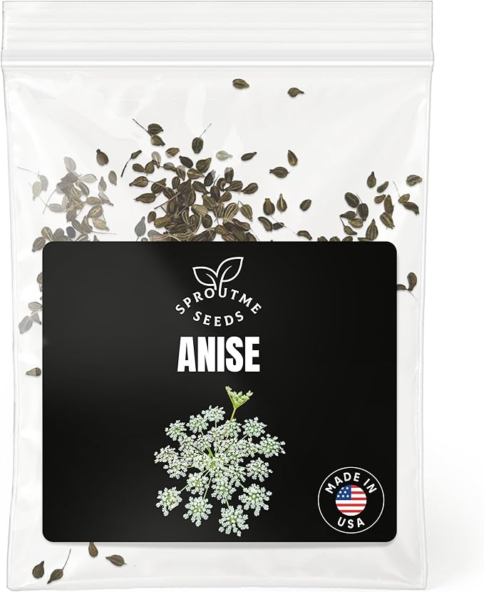 Fall & Winter Anise Seeds for Indoor & Outdoor Planting – 200+ Aromatic Non-GMO Heirloom USA-Grown Herb for Tea, Baking & Cooking with High Germination (Pimpinella anisum)