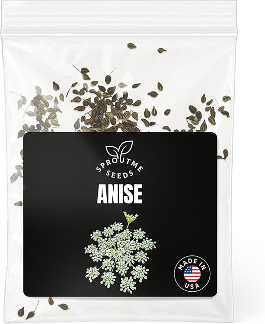 Fall & Winter Anise Seeds for Indoor & Outdoor Planting – 200+ Aromatic Non-GMO Heirloom USA-Grown Herb for Tea, Baking & Cooking with High Germination (Pimpinella anisum)