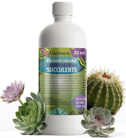 GARDENERA Premium Organic Seaweed & Kelp Superfood for Succulents & Cacti Plants - 32 oz - Liquid Kelp Fertilizer Concentrate (Makes 180 Gallons)