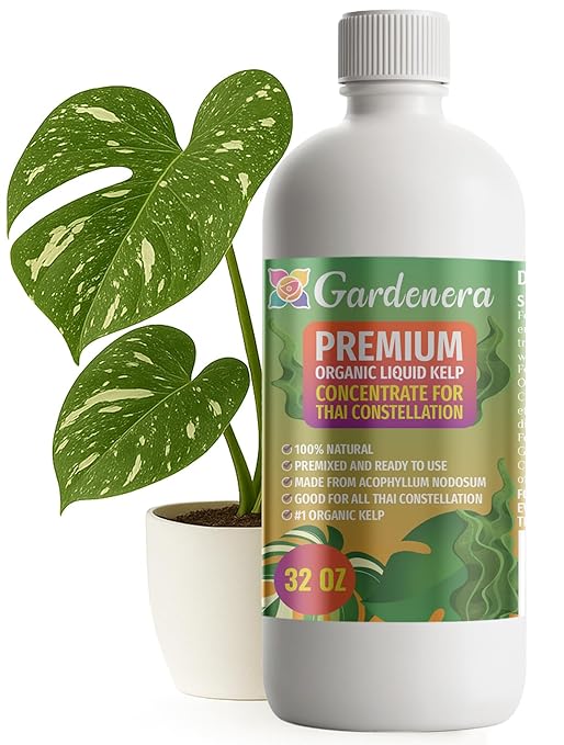 GARDENERA Premium Organic Seaweed & Kelp Superfood for Thai Constellation Plants - 32 oz - Liquid Kelp Fertilizer Concentrate (Makes 180 Gallons)