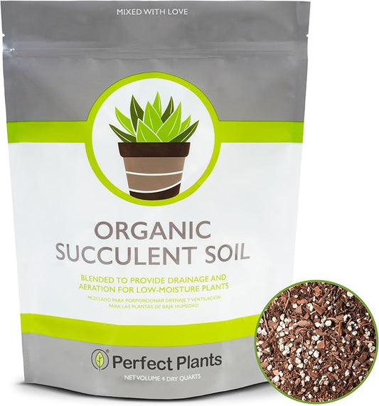All Natural Succulent and Cactus Soil Mix by Perfect Plants | Made in The USA | 4 Quarts for All Succulent Varieties | Formulated for Proper Drainage