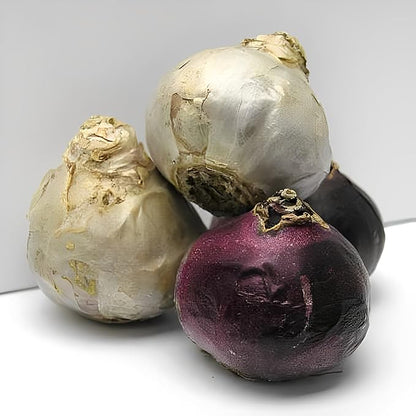 Hyacinth Mixed Bulbs - Perennial and Fragrant, Mix Hyacinths Bulbs for Planting | Long Lasting Beauty - Stunning Garden Display (20 Pack)