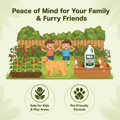 GS Plant Foods Liquid Kelp Fertilizer – Suitable for Organic Growing, OMRI Listed Seaweed Concentrate for Lawns, Gardens & Soil - 1 Gallon (Makes Up To 800+ Gallons)