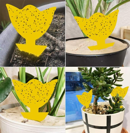 48 Pack Fruit Fly Traps for Indoors Plants Fungus Gnat Killer Trap Outdoor, Sticky Fly Catcher for House Outdoor, Flying Insects, Fungus Gnats, Flies