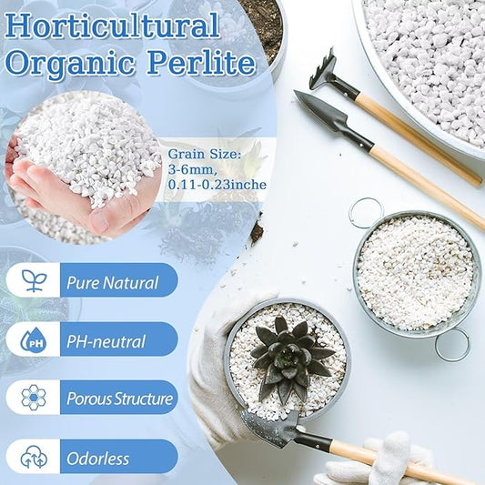 Riare 6 Quarts Organic Perlite for Plants - Horticultural Soil Amendment for Potting Mix, Natural Chunky Soil Additive Conditioner to Improve Root Growth, Drainage and Ventilation