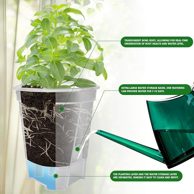 Cdd's Path Large Self Watering Pots Set with Holes for Indoor/Outdoor Plants,Planter Pot with Watering Hole/Reservior and Air Pipes (Clear, 8 inch-5 Pack)