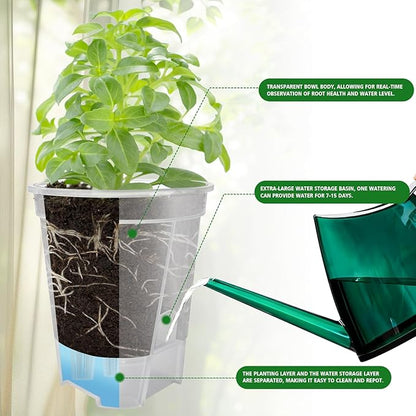 Cdd's Path Large Self Watering Pots Set with Holes for Indoor/Outdoor Plants,Planter Pot with Watering Hole/Reservior and Air Pipes (Clear, 8 inch-5 Pack)
