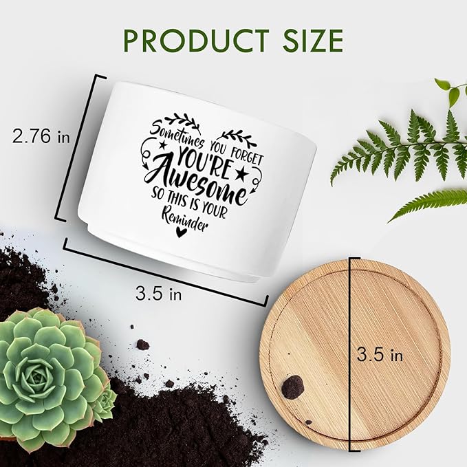 Thank You Gifts for Women, Funny Succulent Plant Pot, Cactus Flower Planter Gifts, Appreciation Inspirational Farewell Going Away Gifts for Women Men Boss Lady Manager Coworkers (No Plants)